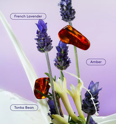 Skin Replenishing Body Wash - Simple Care Essential