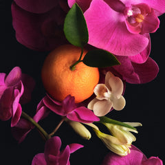 Scent Layering Trio - Bright Scent Pick